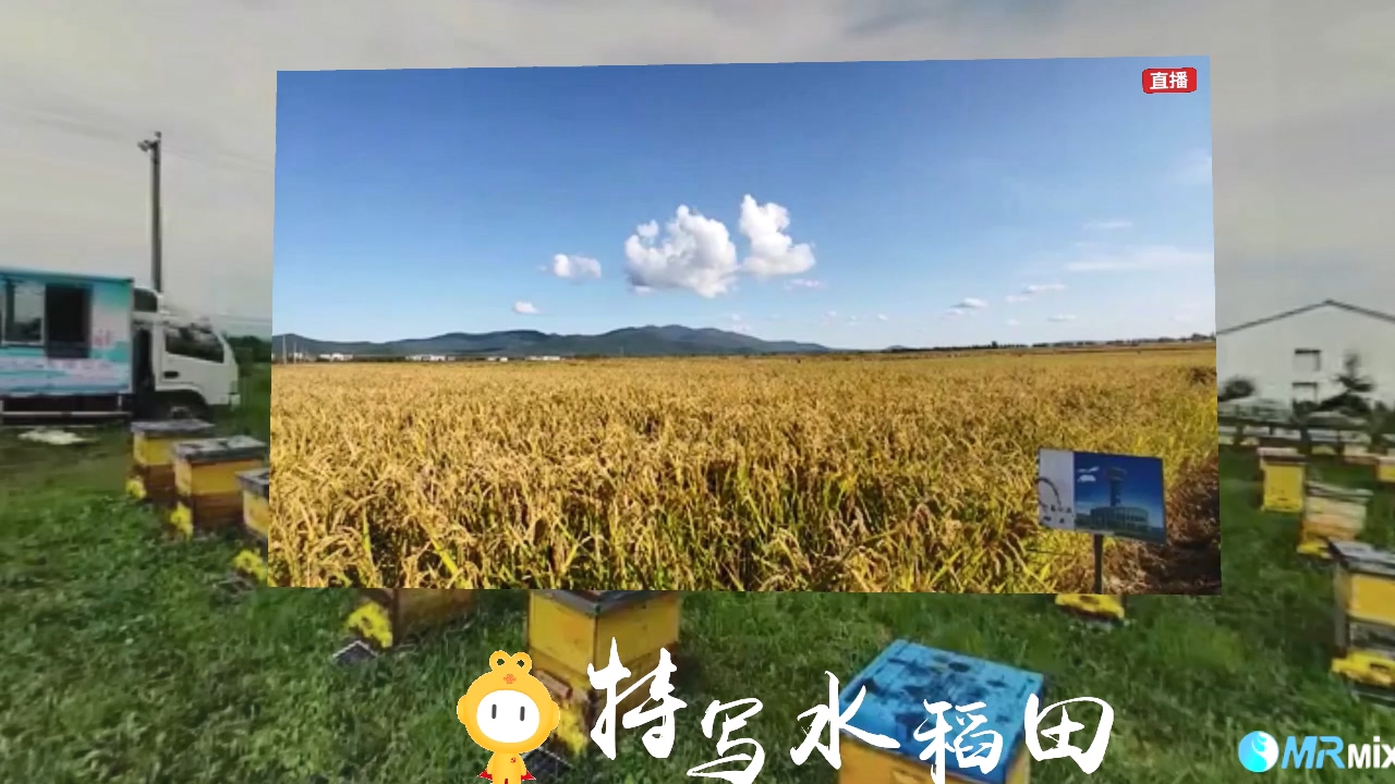 虚拟合成场景